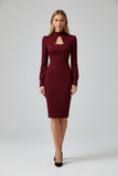 Maroon dress worn by a model with a blurred background